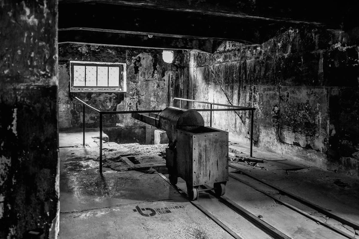 KL auschwitz - https://fotobasinski.tk