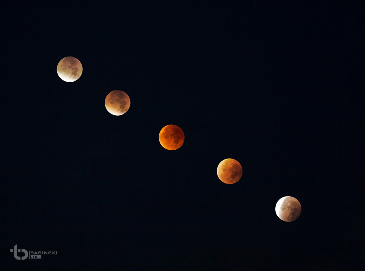 blood moon https://fotobasinski.tk