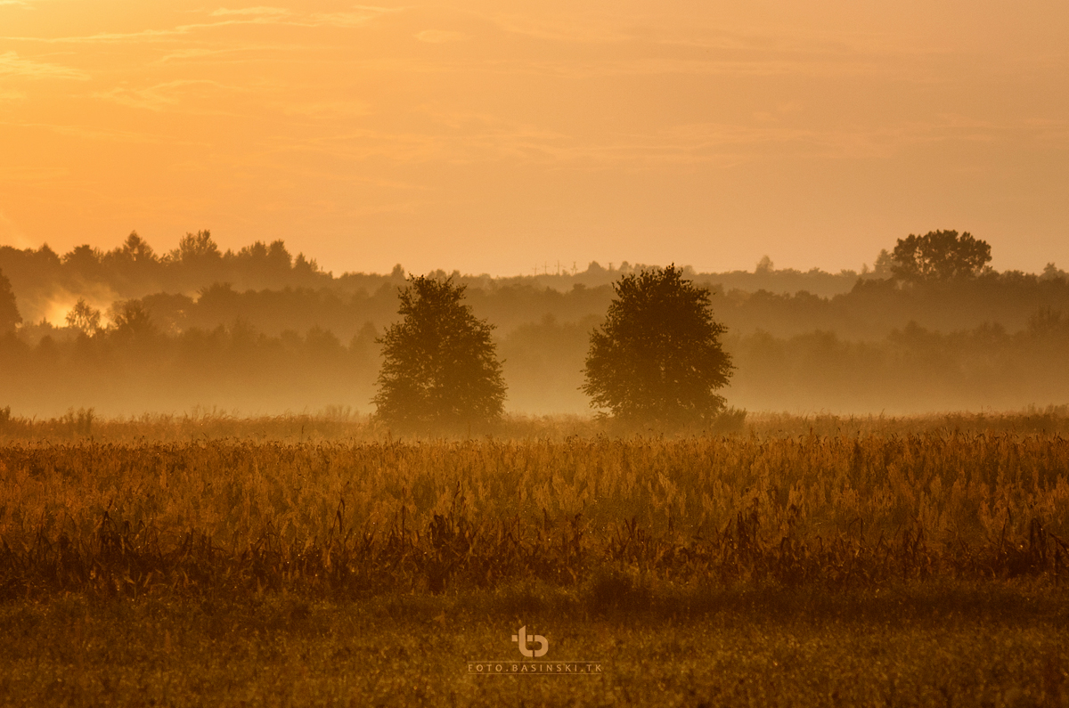 Jesienne krajobrazy - https://fotobasinski.tk