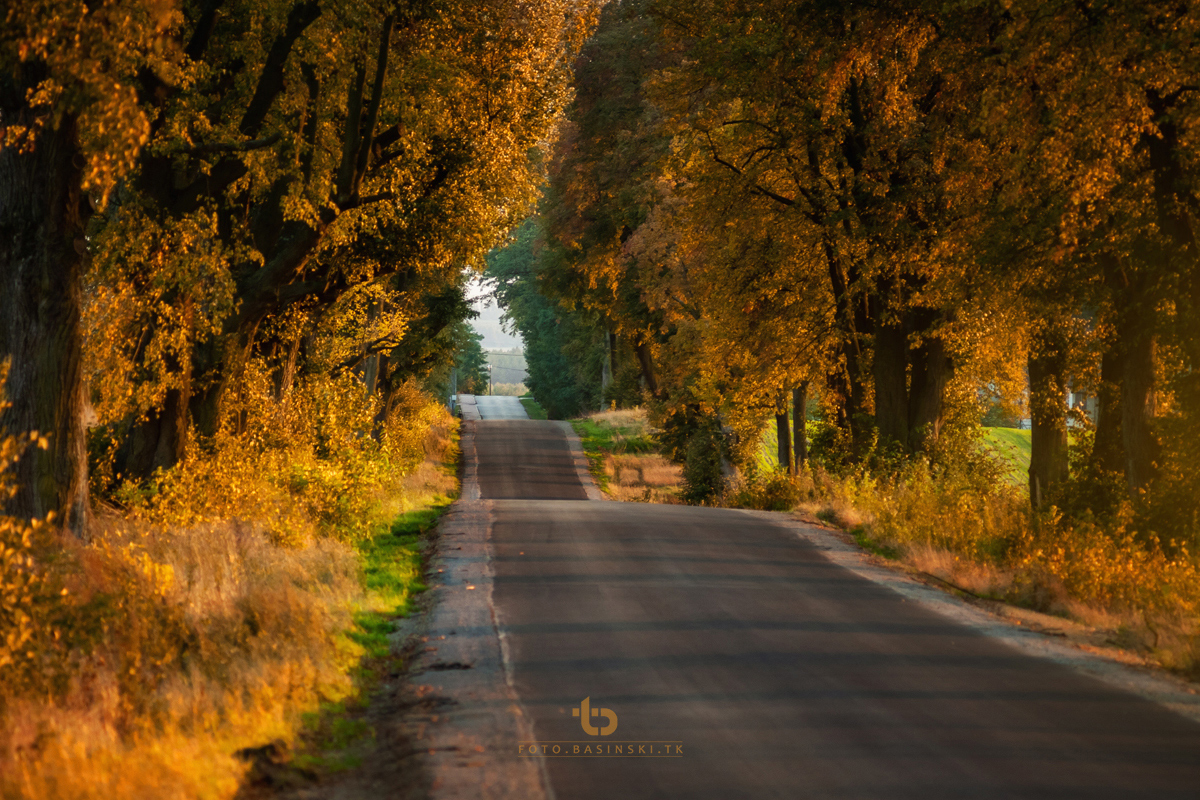 Jesienne krajobrazy - https://fotobasinski.tk