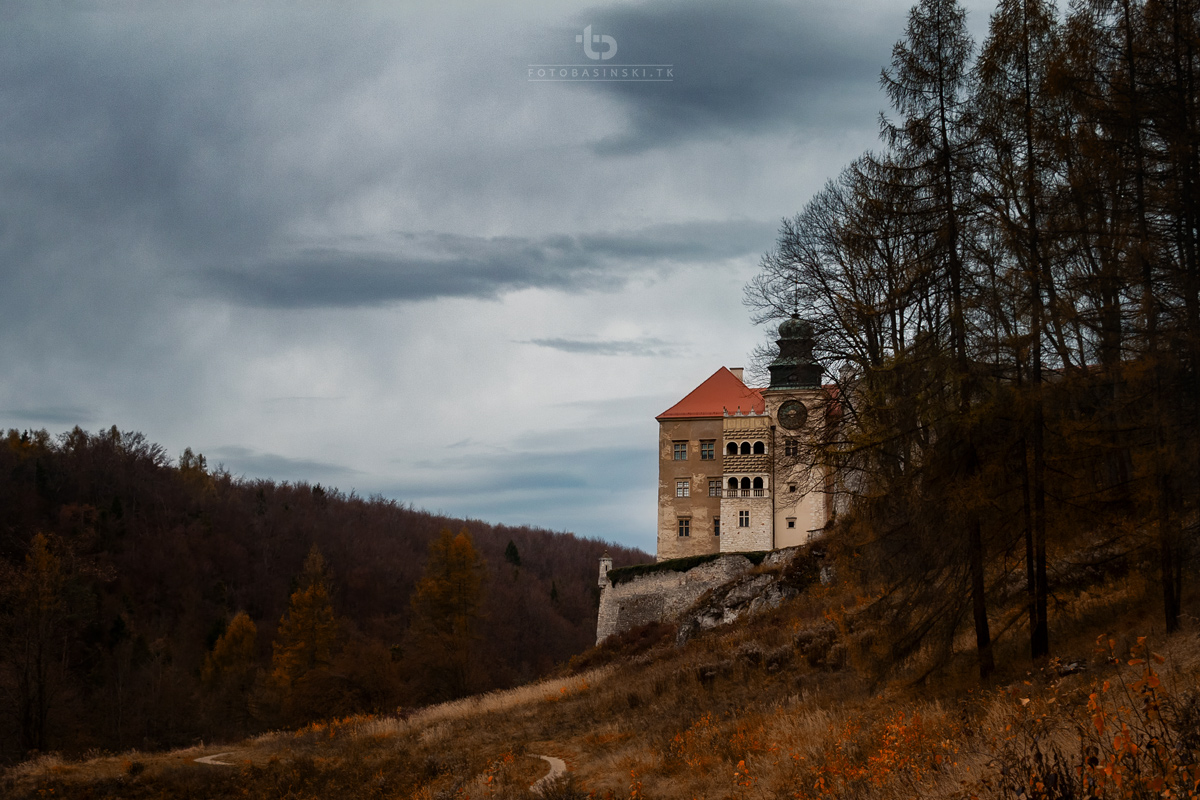 ojców zamek w piaskowej skale maczuga herkulesa - www.fotobasinski.com.pl