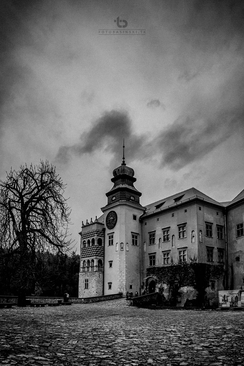 ojców zamek w piaskowej skale maczuga herkulesa - www.fotobasinski.com.pl