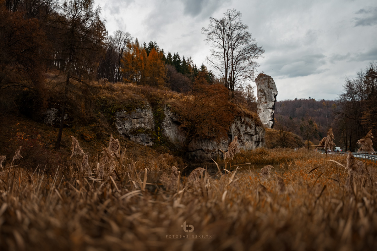 ojców zamek w piaskowej skale maczuga herkulesa - www.fotobasinski.com.pl