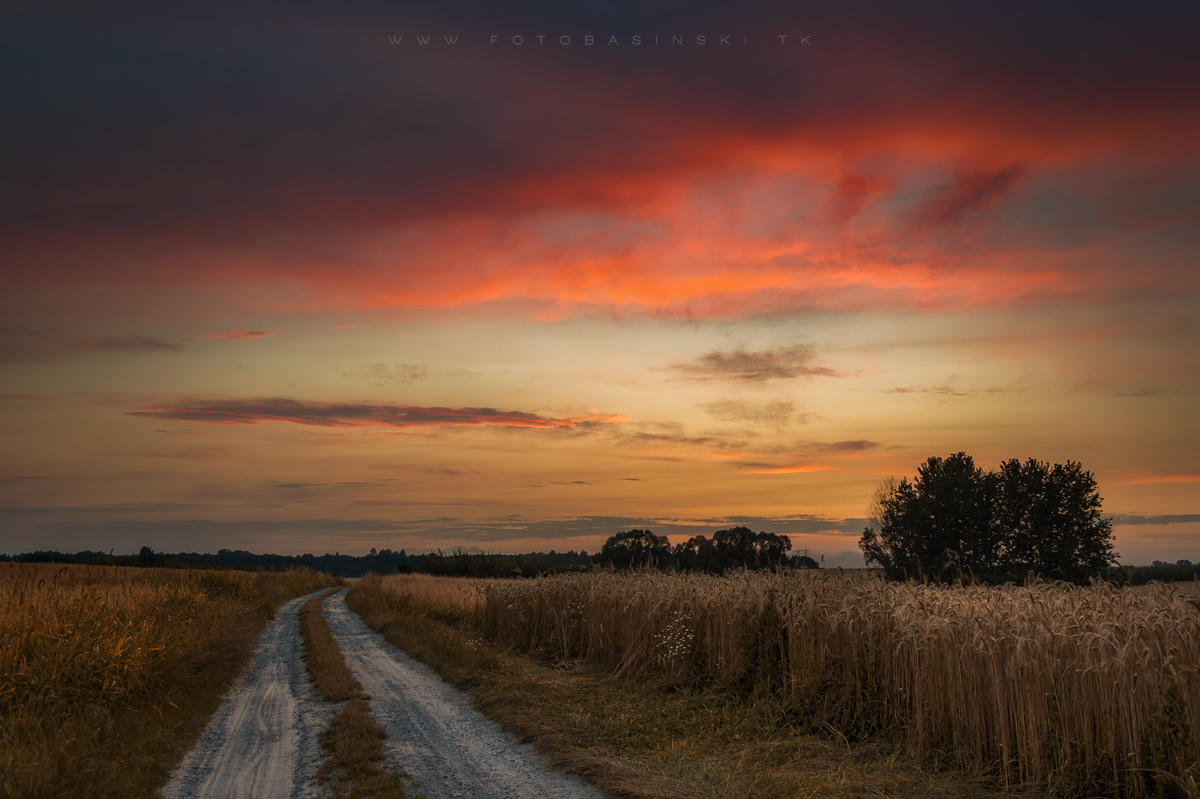 pola - www.fotobasinski.com.pl