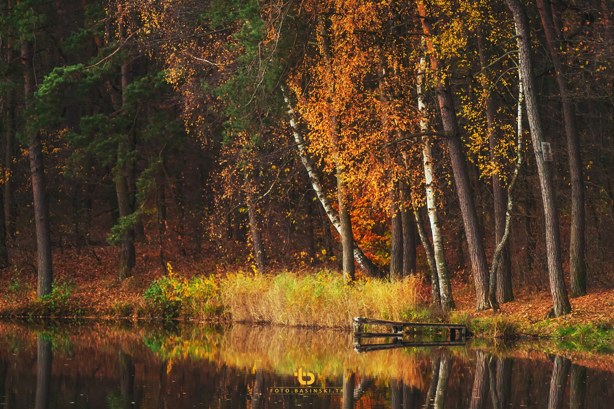 https://fotobasinski.tk - przyszła jesień... staszów