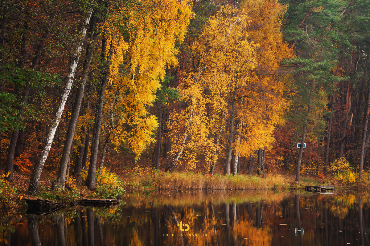 https://fotobasinski.tk - przyszła jesień... staszów