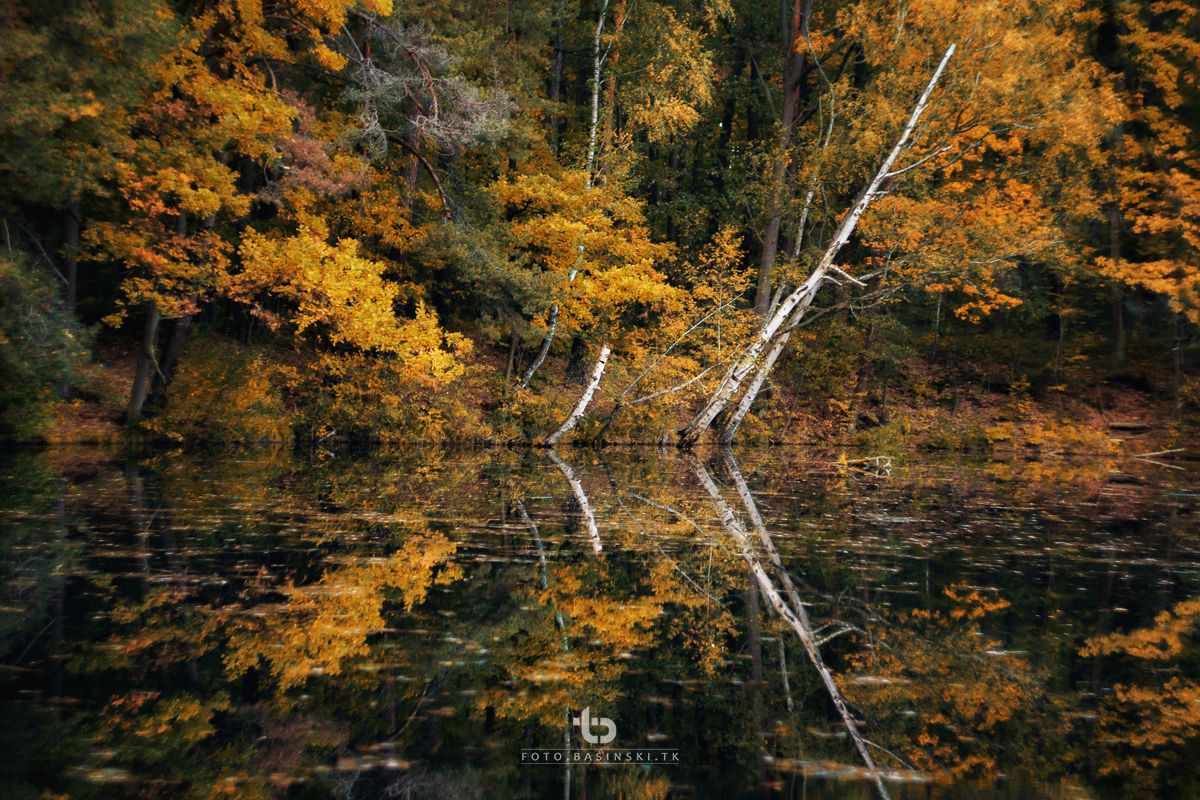 https://fotobasinski.tk - przyszła jesień... staszów