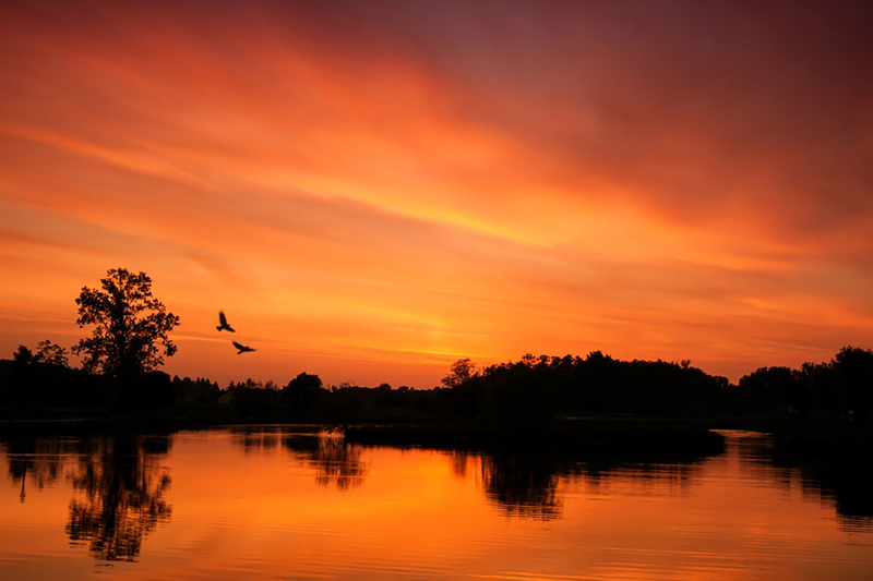 fotobasinski.tk scenerie