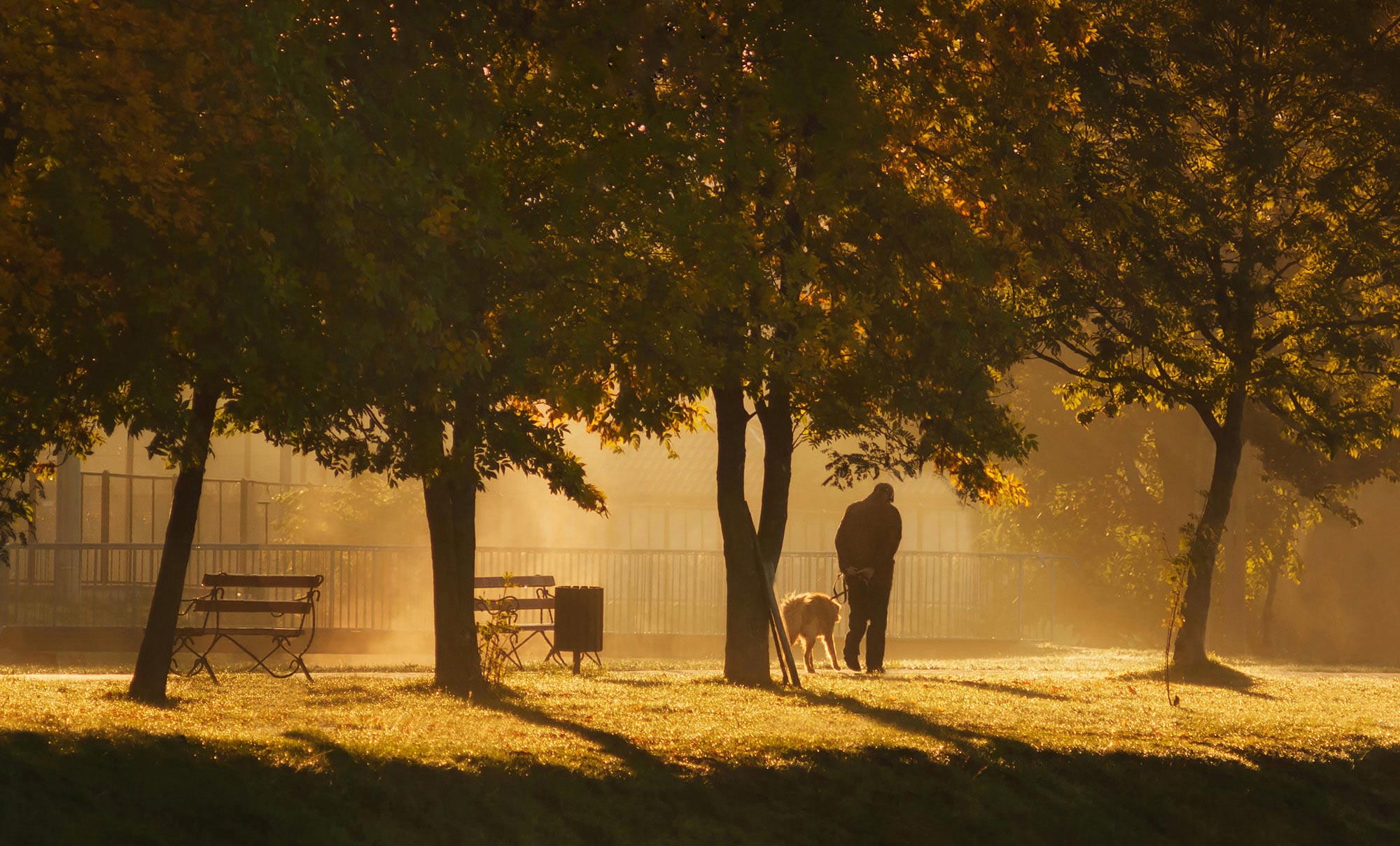 basinski fotografia fotobasinski.com.pl